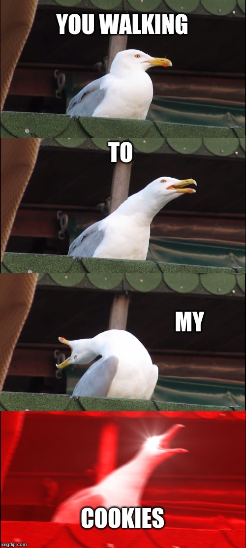 Inhaling Seagull | YOU WALKING; TO; MY; COOKIES | image tagged in memes,inhaling seagull | made w/ Imgflip meme maker