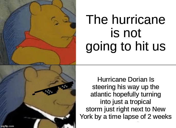 Hurricane... | The hurricane is not going to hit us; Hurricane Dorian Is steering his way up the atlantic hopefully turning into just a tropical storm just right next to New York by a time lapse of 2 weeks | image tagged in memes,tuxedo winnie the pooh | made w/ Imgflip meme maker