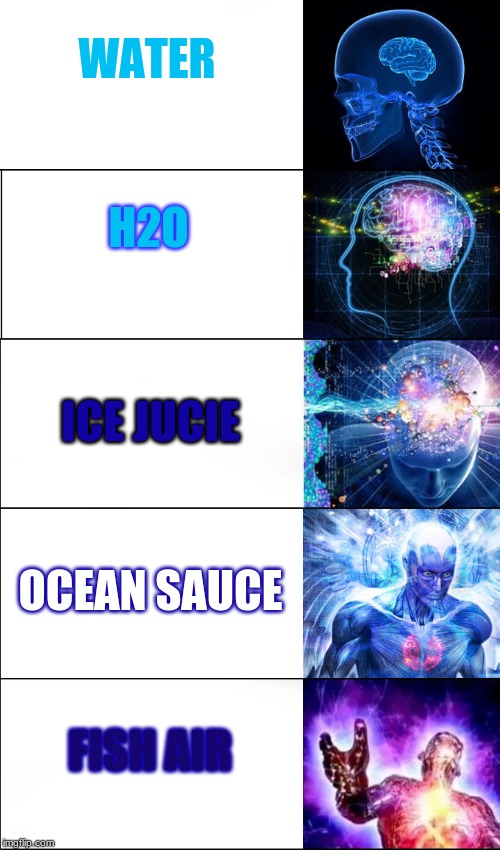 Expanding Brain (5 Templates) | WATER; H2O; ICE JUCIE; OCEAN SAUCE; FISH AIR | image tagged in expanding brain 5 templates | made w/ Imgflip meme maker