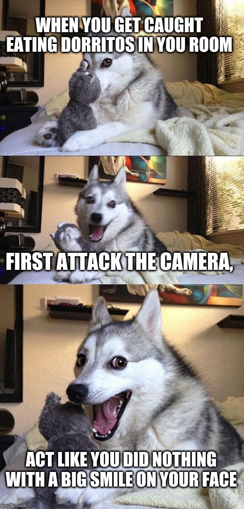 Bad Pun Dog Meme | WHEN YOU GET CAUGHT EATING DORRITOS IN YOU ROOM; FIRST ATTACK THE CAMERA, ACT LIKE YOU DID NOTHING WITH A BIG SMILE ON YOUR FACE | image tagged in memes,bad pun dog | made w/ Imgflip meme maker