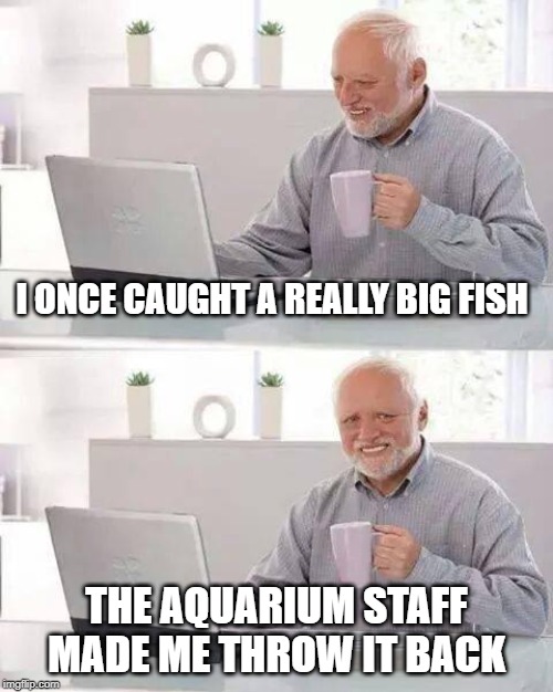 What a Whopper! | I ONCE CAUGHT A REALLY BIG FISH; THE AQUARIUM STAFF MADE ME THROW IT BACK | image tagged in memes,hide the pain harold | made w/ Imgflip meme maker