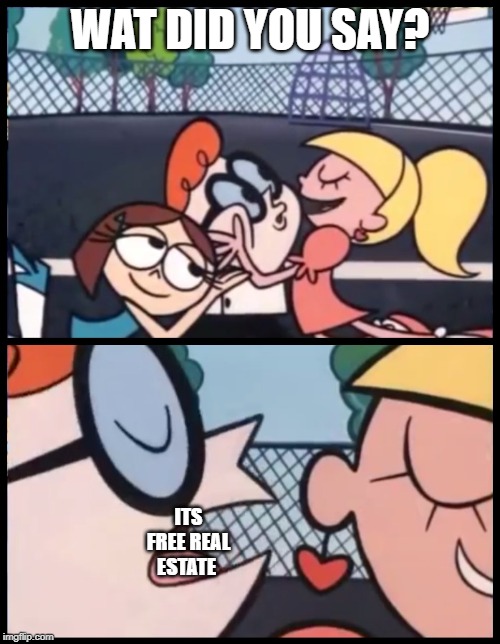 Say it Again, Dexter | WAT DID YOU SAY? ITS FREE REAL ESTATE | image tagged in memes,say it again dexter | made w/ Imgflip meme maker