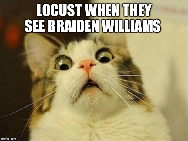 Scared Cat Meme | LOCUST WHEN THEY SEE BRAIDEN WILLIAMS | image tagged in memes,scared cat | made w/ Imgflip meme maker
