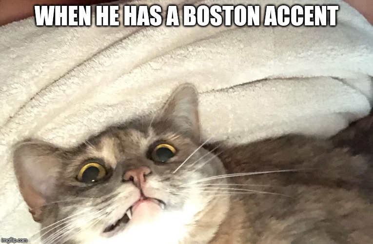 Mortified Mabel | WHEN HE HAS A BOSTON ACCENT | image tagged in mortified mabel | made w/ Imgflip meme maker