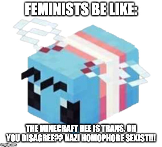 FEMINISTS BE LIKE:; THE MINECRAFT BEE IS TRANS. OH YOU DISAGREE?? NAZI HOMOPHOBE SEXIST!!! | image tagged in minecraft | made w/ Imgflip meme maker