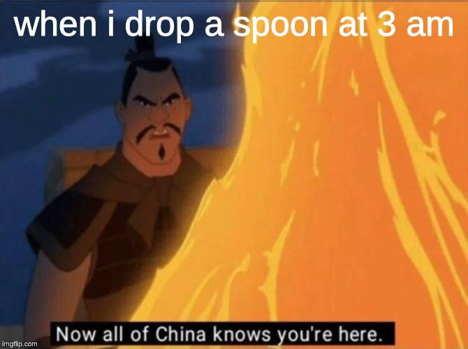 Now all of China knows you're here | when i drop a spoon at 3 am | image tagged in now all of china knows you're here | made w/ Imgflip meme maker