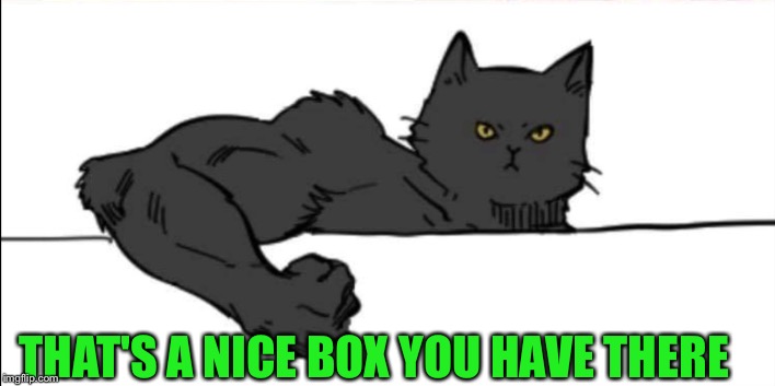 Buff cat | THAT'S A NICE BOX YOU HAVE THERE | image tagged in buff cat | made w/ Imgflip meme maker