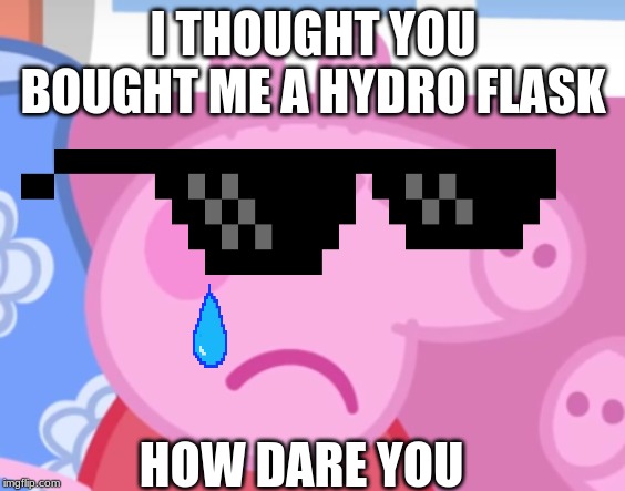 Angry Peppa Pig | I THOUGHT YOU BOUGHT ME A HYDRO FLASK; HOW DARE YOU | image tagged in angry peppa pig | made w/ Imgflip meme maker