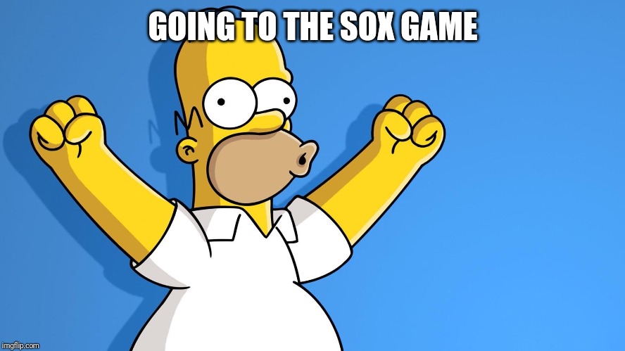 Homer Simpson woo hoo | GOING TO THE SOX GAME | image tagged in homer simpson woo hoo | made w/ Imgflip meme maker