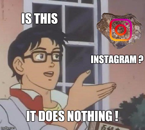 Is This A Pigeon | IS THIS; INSTAGRAM ? IT DOES NOTHING ! | image tagged in memes,is this a pigeon,instagram,pet rock | made w/ Imgflip meme maker