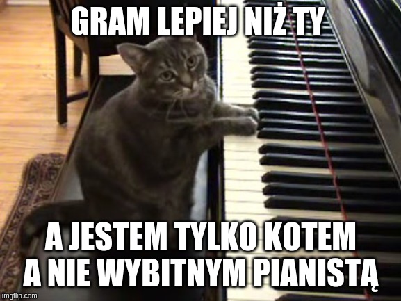 cat piano | GRAM LEPIEJ NIŻ TY; A JESTEM TYLKO KOTEM A NIE WYBITNYM PIANISTĄ | image tagged in cat piano | made w/ Imgflip meme maker