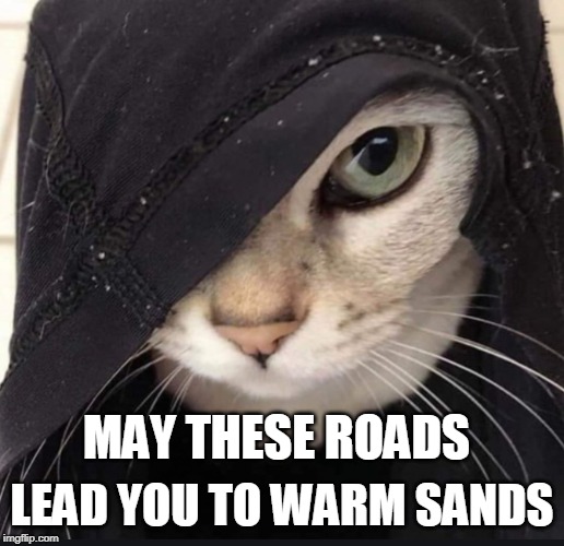 Kajiit | LEAD YOU TO WARM SANDS; MAY THESE ROADS | image tagged in skyrim meme,kajiit | made w/ Imgflip meme maker