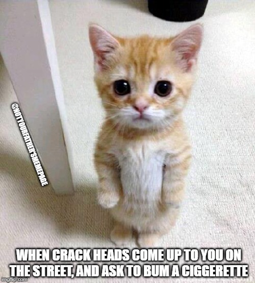 Hey man... | @NOTYOURFATHER'SMEMEPAGE; WHEN CRACK HEADS COME UP TO YOU ON THE STREET, AND ASK TO BUM A CIGGERETTE | image tagged in memes,cute cat,crackhead,cigarette,bum,don't do drugs | made w/ Imgflip meme maker