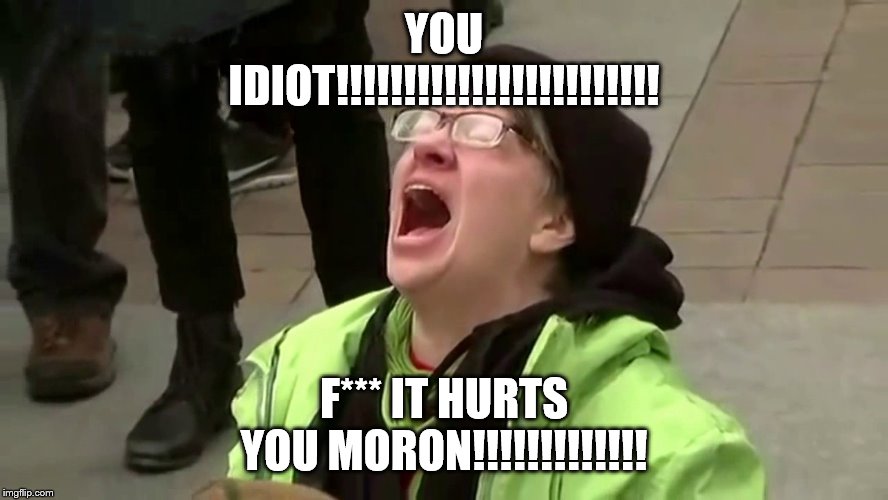 Woman screaming | YOU IDIOT!!!!!!!!!!!!!!!!!!!!!!!! F*** IT HURTS YOU MORON!!!!!!!!!!!!! | image tagged in woman screaming | made w/ Imgflip meme maker