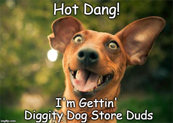 Happy dog | Hot Dang! I'm Gettin'
 Diggity Dog Store Duds | made w/ Imgflip meme maker