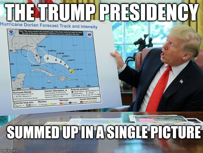 Trump presidency | THE TRUMP PRESIDENCY; SUMMED UP IN A SINGLE PICTURE | image tagged in trump presidency | made w/ Imgflip meme maker