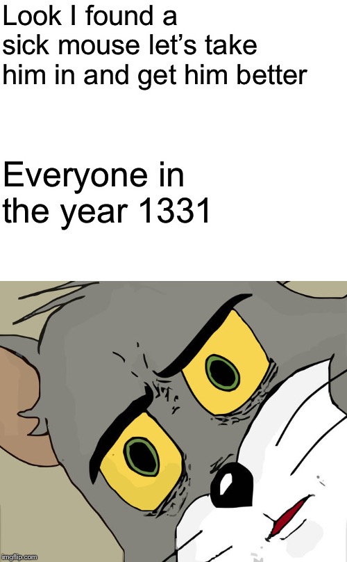Unsettled Tom Meme | Look I found a sick mouse let’s take him in and get him better; Everyone in the year 1331 | image tagged in memes,unsettled tom | made w/ Imgflip meme maker