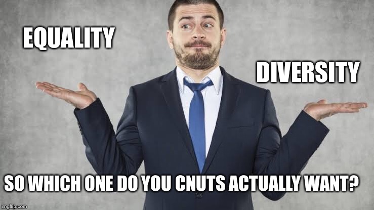 It’s make your mind up time | EQUALITY; DIVERSITY; SO WHICH ONE DO YOU CNUTS ACTUALLY WANT? | image tagged in funny | made w/ Imgflip meme maker