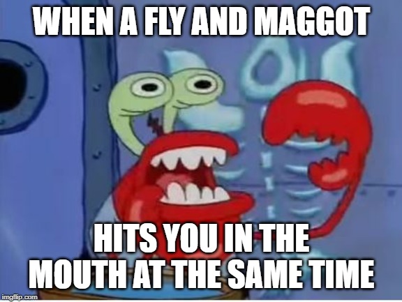 Mr Krabs choking | WHEN A FLY AND MAGGOT; HITS YOU IN THE MOUTH AT THE SAME TIME | image tagged in mr krabs choking | made w/ Imgflip meme maker