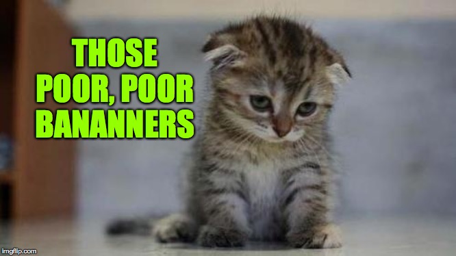 Sad kitten | THOSE POOR, POOR BANANNERS | image tagged in sad kitten | made w/ Imgflip meme maker