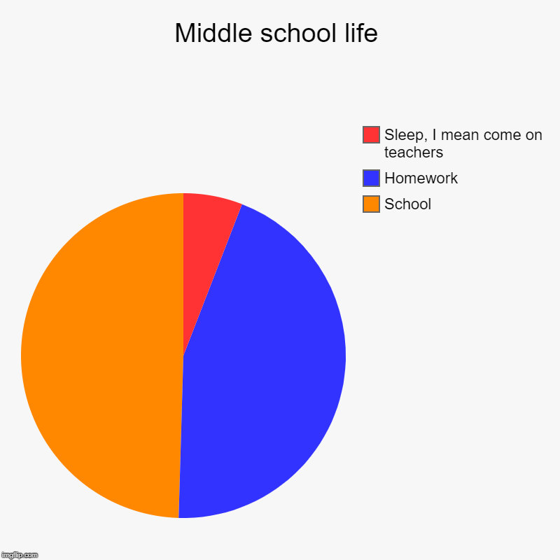 Middle school life | School , Homework, Sleep, I mean come on teachers | image tagged in charts,pie charts | made w/ Imgflip chart maker