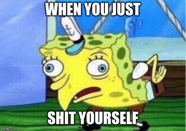 Mocking Spongebob Meme | WHEN YOU JUST; SHIT YOURSELF | image tagged in memes,mocking spongebob | made w/ Imgflip meme maker