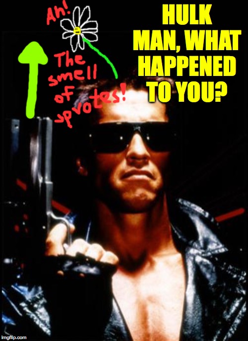 terminator arnold schwarzenegger | HULK MAN, WHAT HAPPENED TO YOU? | image tagged in terminator arnold schwarzenegger | made w/ Imgflip meme maker