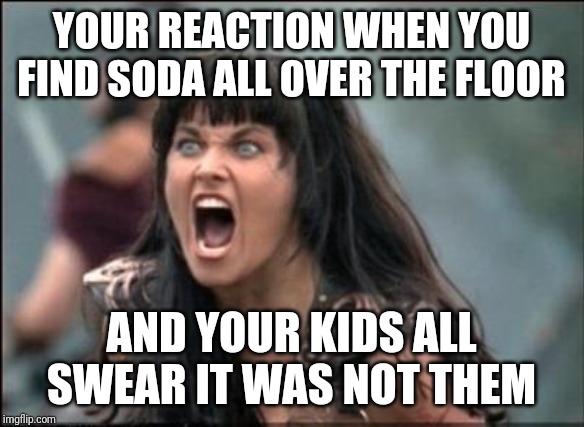 Kids and the "not me" excuse | YOUR REACTION WHEN YOU FIND SODA ALL OVER THE FLOOR; AND YOUR KIDS ALL SWEAR IT WAS NOT THEM | image tagged in angry xena | made w/ Imgflip meme maker