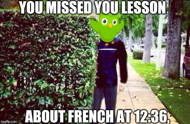 Stalker Steve  | YOU MISSED YOU LESSON; ABOUT FRENCH AT 12:36, | image tagged in stalker steve | made w/ Imgflip meme maker