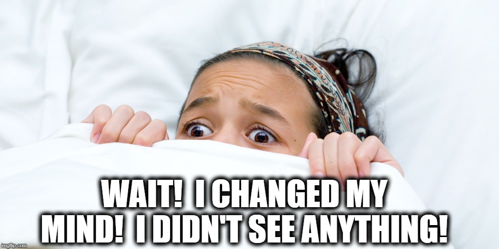 WAIT!  I CHANGED MY MIND!  I DIDN'T SEE ANYTHING! | made w/ Imgflip meme maker