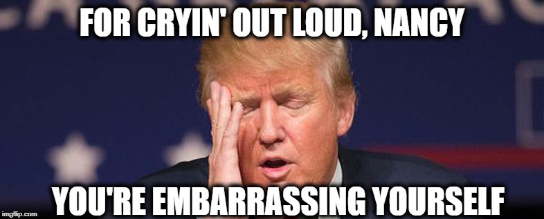 FOR CRYIN' OUT LOUD, NANCY YOU'RE EMBARRASSING YOURSELF | made w/ Imgflip meme maker