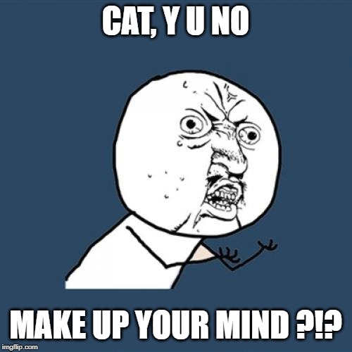 Y U No Meme | CAT, Y U NO MAKE UP YOUR MIND ?!? | image tagged in memes,y u no | made w/ Imgflip meme maker
