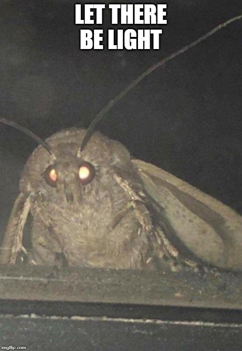 Moth | LET THERE BE LIGHT | image tagged in moth | made w/ Imgflip meme maker