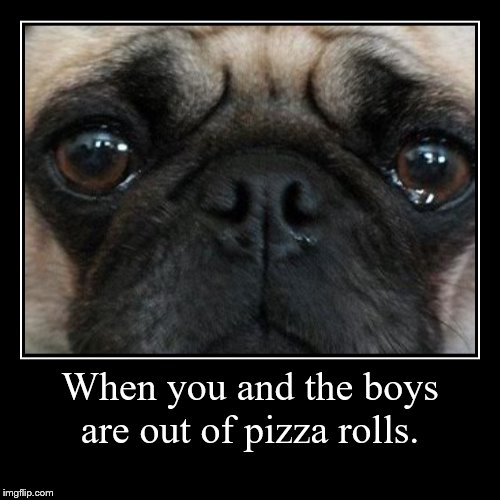 image tagged in funny,demotivationals | made w/ Imgflip demotivational maker