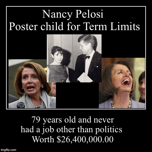 Nancy Pelosi...Career Politician | image tagged in funny,demotivationals,nancy pelosi,democrat party,liberal bias,assault weapons | made w/ Imgflip demotivational maker