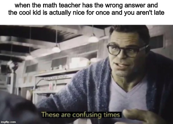 Anyone relate? | when the math teacher has the wrong answer and the cool kid is actually nice for once and you aren't late | image tagged in these are confusing times | made w/ Imgflip meme maker