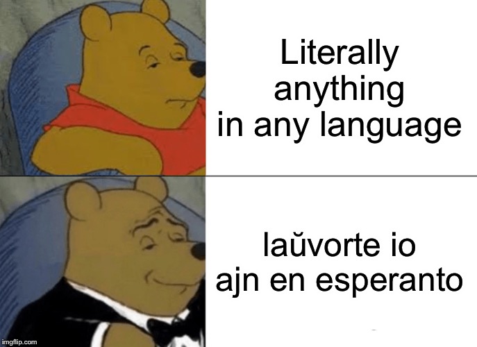 Yea I’m fluent, mi parolas esperanton flue | Literally anything in any language; laŭvorte io ajn en esperanto | image tagged in memes,tuxedo winnie the pooh,language,dank meme,dank memes dom | made w/ Imgflip meme maker