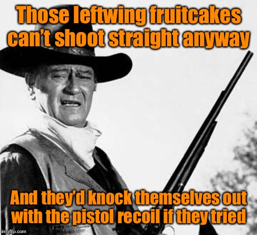 John Wayne Comeback | Those leftwing fruitcakes can’t shoot straight anyway And they’d knock themselves out with the pistol recoil if they tried | image tagged in john wayne comeback | made w/ Imgflip meme maker