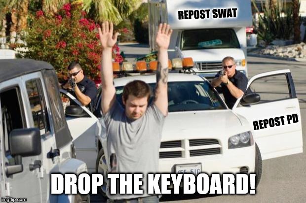 Called the police on reposters | REPOST SWAT DROP THE KEYBOARD! REPOST PD | image tagged in repost police | made w/ Imgflip meme maker