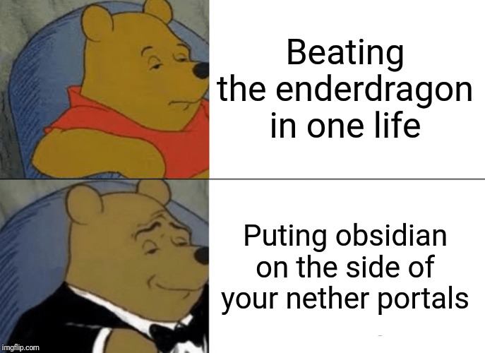 Tuxedo Winnie The Pooh Meme | Beating the enderdragon in one life; Puting obsidian on the side of your nether portals | image tagged in memes,tuxedo winnie the pooh | made w/ Imgflip meme maker