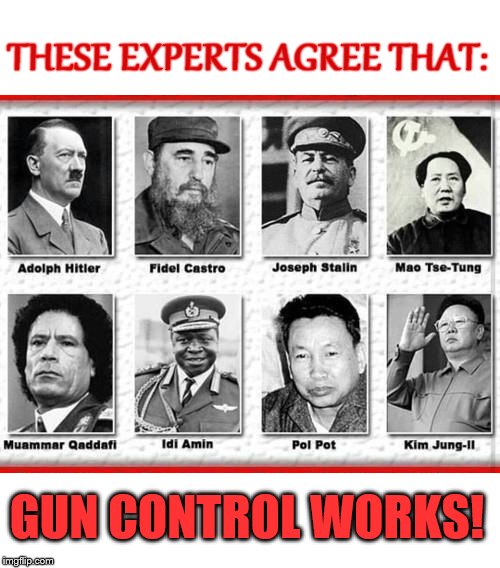 They were able to kill many unarmed people | THESE EXPERTS AGREE THAT: GUN CONTROL WORKS! | image tagged in gun control,2nd amendment | made w/ Imgflip meme maker