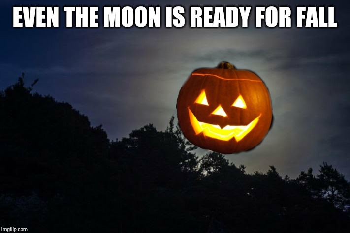 Moon and Spice | EVEN THE MOON IS READY FOR FALL | image tagged in moon,pumpkin,fall,halloween | made w/ Imgflip meme maker