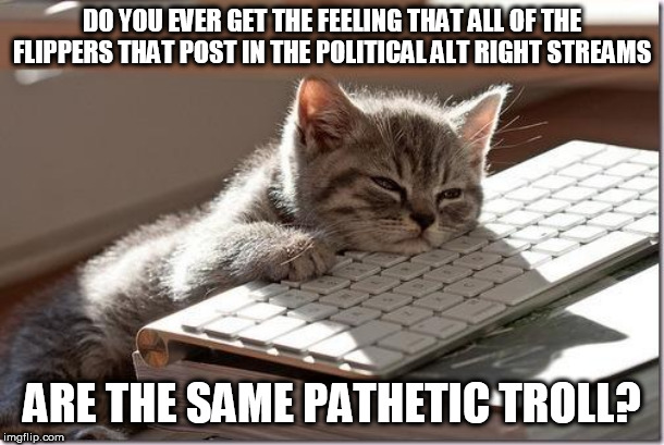 Bored Keyboard Cat | DO YOU EVER GET THE FEELING THAT ALL OF THE FLIPPERS THAT POST IN THE POLITICAL ALT RIGHT STREAMS; ARE THE SAME PATHETIC TROLL? | image tagged in bored keyboard cat | made w/ Imgflip meme maker