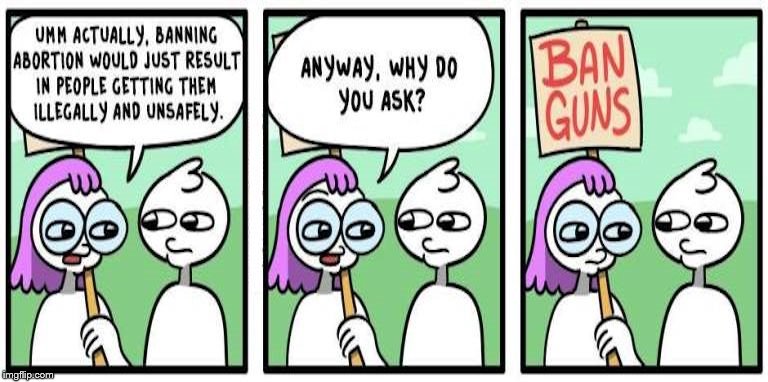 Stupid logic | image tagged in gun control | made w/ Imgflip meme maker