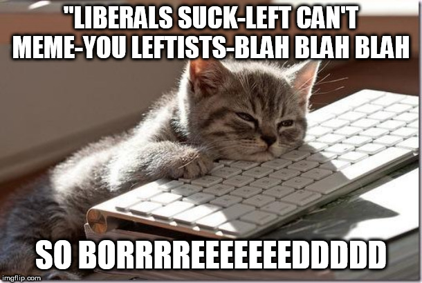 boring alt right troll comments | "LIBERALS SUCK-LEFT CAN'T MEME-YOU LEFTISTS-BLAH BLAH BLAH; SO BORRRREEEEEEEDDDDD | image tagged in bored keyboard cat,alt right trolls,the right can't meme,trump impeach,trump cult,alt right sucks | made w/ Imgflip meme maker