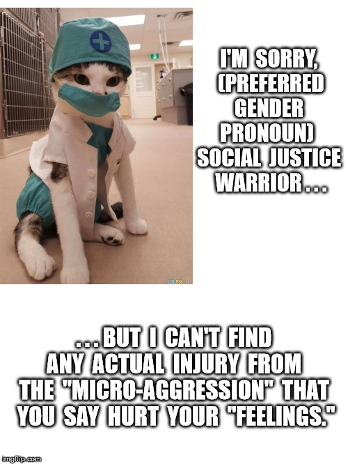 No Injury Detected | I'M  SORRY,  (PREFERRED  GENDER  PRONOUN)  SOCIAL  JUSTICE  WARRIOR . . . . . . BUT  I  CAN'T  FIND  ANY  ACTUAL  INJURY  FROM  THE  "MICRO-AGGRESSION"  THAT  YOU  SAY  HURT  YOUR  "FEELINGS." | image tagged in sjws,microaggression,political meme | made w/ Imgflip meme maker