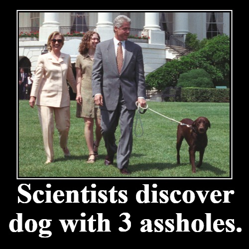 Scientists discover dog with 3 assholes. | image tagged in funny,demotivationals,presidential pets,buddy,bill and hillary clinton,chelsea clinton | made w/ Imgflip demotivational maker