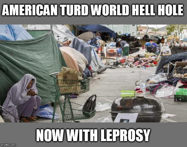 Don't forget the plague! | AMERICAN TURD WORLD HELL HOLE NOW WITH LEPROSY | image tagged in 3rd world country nope san francisco | made w/ Imgflip meme maker