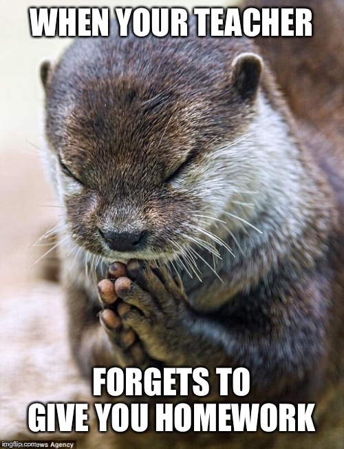 If only it happened more often! | WHEN YOUR TEACHER; FORGETS TO GIVE YOU HOMEWORK | image tagged in thank you lord otter,isaac_laugh,funny,forgets to give you homework,otter | made w/ Imgflip meme maker