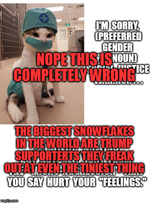 NOPE THIS IS COMPLETELY WRONG THE BIGGEST SNOWFLAKES IN THE WORLD ARE TRUMP SUPPORTERTS THEY FREAK OUT AT EVEN THE TINIEST THING | made w/ Imgflip meme maker